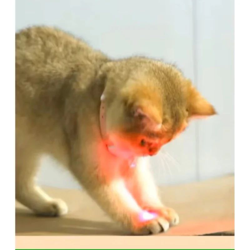 PatLaser Otomatik Lazer Oyun Tasması