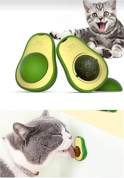 Patrikado Catnip Kedi Çimi Topu Oyuncağı