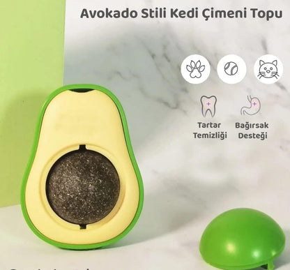 Patrikado Catnip Kedi Çimi Topu Oyuncağı