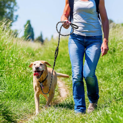 PatWalk Evcil Hayvan Fitil Gezdirme Tasması
