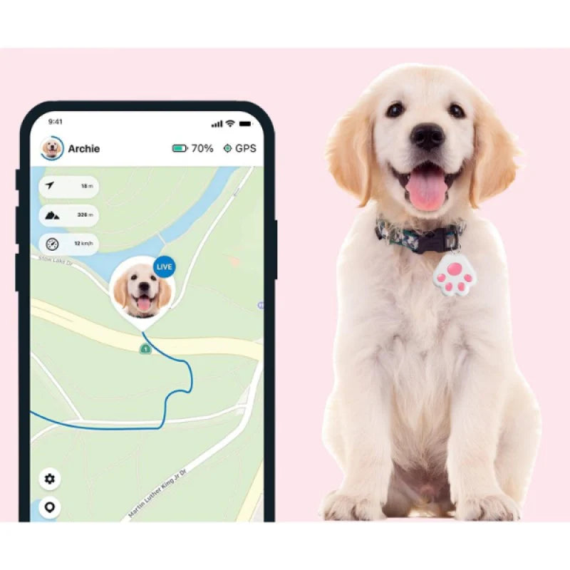 PatWatch Mobil Uygulamalı Evcil Hayvan Takip Cihazı
