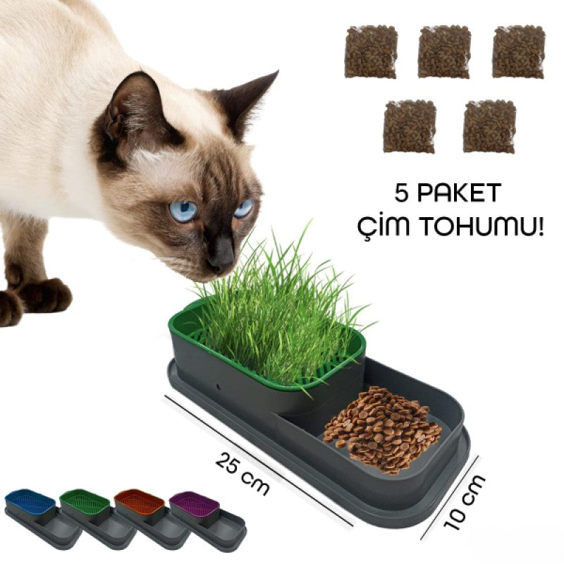 PatGreen Topraksız Kedi Çimi Kabı