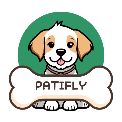 Patifly