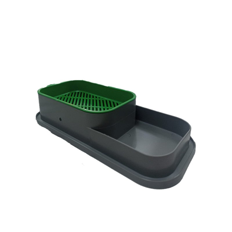 PatGreen Topraksız Kedi Çimi Kabı