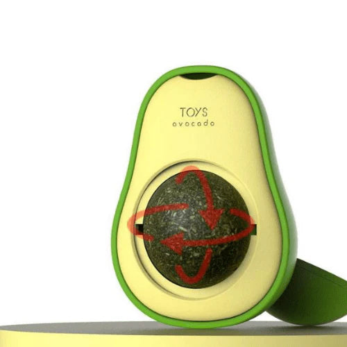 Patrikado Catnip Kedi Çimi Topu Oyuncağı