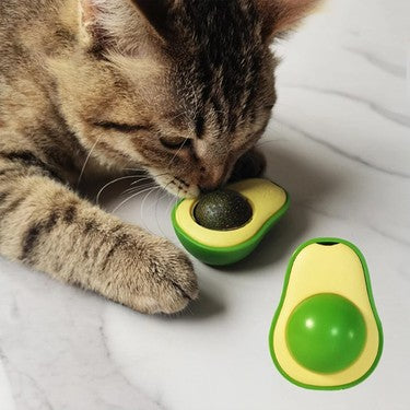 Catnip Avokado Kedi Çimi Kedi Oyuncağı Yalama Topu Doğal Kedi Nanesi